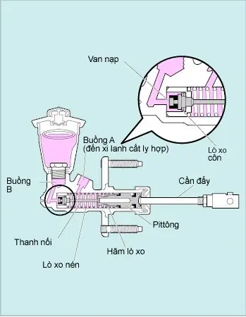 1. Cấu Tạo Và Chức Năng