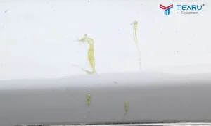 Cách Tẩy Nhựa Cây Trên Xe Ô Tô An Toàn Và Hiệu Quả