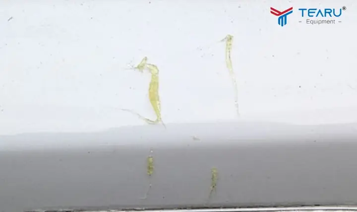 Cách Tẩy Nhựa Cây Trên Xe Ô Tô An Toàn Và Hiệu Quả