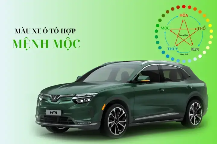 Người Mệnh Mộc Sinh Năm Nào?