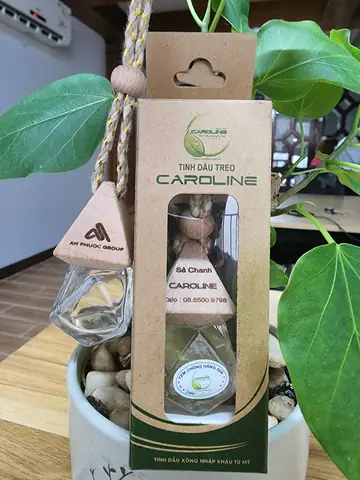 Chai Tinh Dầu Treo Xe Ô Tô Tphcm