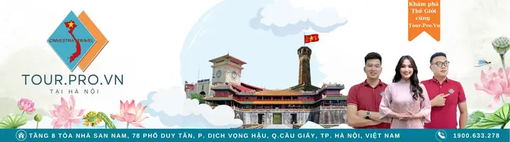 Chổ Cầm Bằng Lái Xe Ô Tô Giá Rẻ