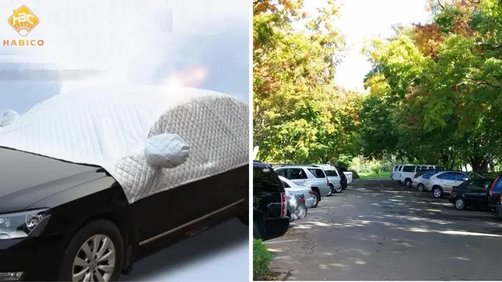 Các Cách Khử Mùi Keo Con Chó Trên Xe Ô Tô Hiệu Quả