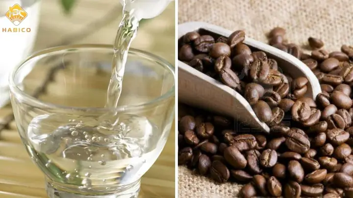 Các Cách Khử Mùi Keo Con Chó Trên Xe Ô Tô Hiệu Quả