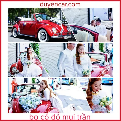 13. Xe Bọ Cổ Đỏ Mui Trần Volksawgen