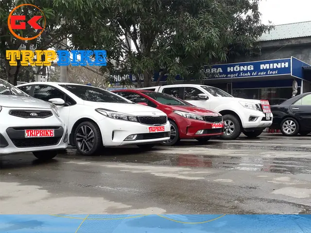 Cho Thuê Xe Tự Lái Hồng Minh