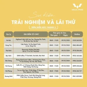 Thông Tin Chương Trình Lái Thử Wuling Hongguang Mini Ev