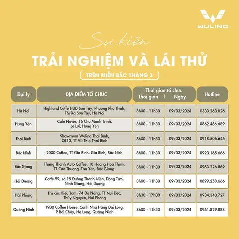 Thông Tin Chương Trình Lái Thử Wuling Hongguang Mini Ev