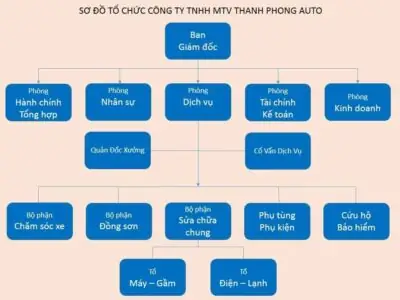 Phân Tích Cơ Cấu Xe Ô Tô Lưu Hành Tại Việt Nam