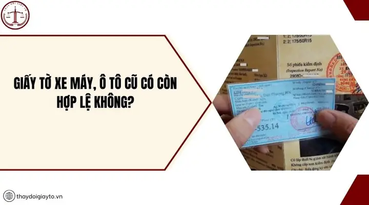 Có Cho Nhập Xe Ô Tô Cũ Không? Quy Định & Thủ Tục Mới Nhất