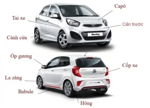 Có Nên Sơn Nóc Xe Ô Tô