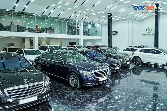 Nắm Bắt Xu Hướng Thị Trường