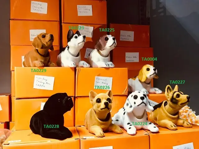 Chó Lắc Lư Trên Xe Hơi