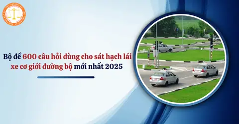 Các Lỗi Vi Phạm Khiến Công An Giao Thông Thu Xe Ô Tô