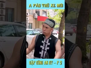 Các Lỗi Vi Phạm Khiến Công An Giao Thông Thu Xe Ô Tô