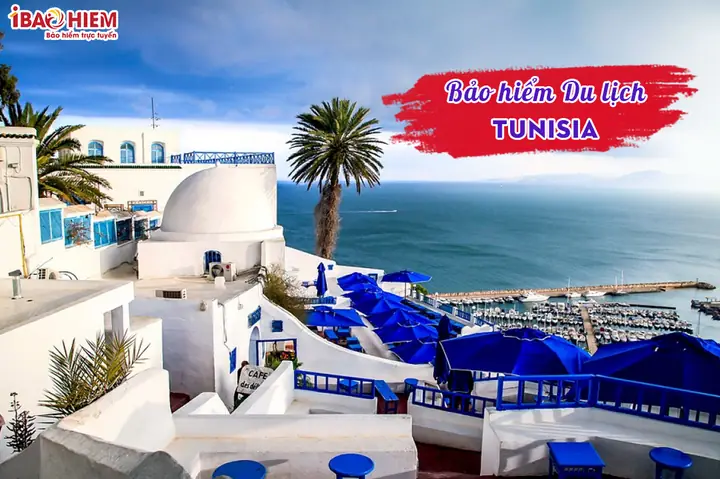 Bao Hiem Du Lich Tunisia