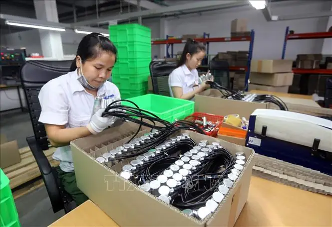 Công Ty Tnhh Lốp Xe Ô Tô Phước Lộc