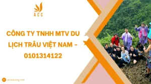 Công Ty Ô Tô Và Xe Máy Sapa Mst: Thông Tin Và Dịch Vụ