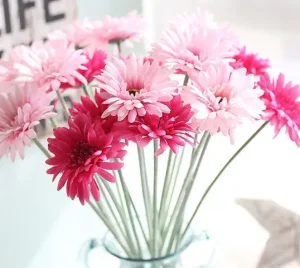 Cúng Xe Nên Cúng Hoa Gì?