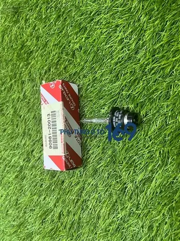 Phutung169chuyên Cung Cấp Bóng Đèn Pha Xenon D4s Sản Xuất Chính Hãng Tại Thailand