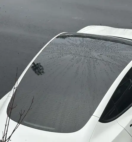 Dán Thế Nào Sau Xe Ô Tô? Hướng Dẫn Chi Tiết Cho Người Mới Dán Thế Nào Sau Xe Ô Tô? Hướng Dẫn Chi Tiết Cho Người Mới