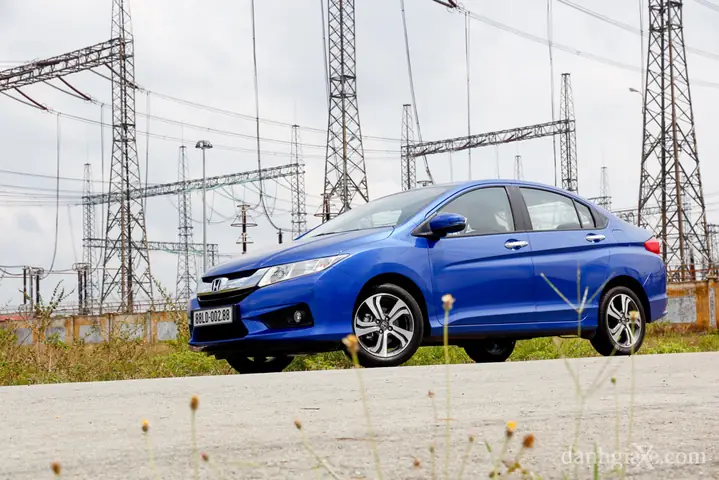 Tổng Quan Về Ngoại Hình