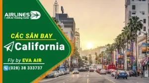 Tìm Danh Sách Sale Xe Ô Tô Uy Tín Và Chuyên Nghiệp Ở Đâu?