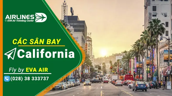 Tìm Danh Sách Sale Xe Ô Tô Uy Tín Và Chuyên Nghiệp Ở Đâu?