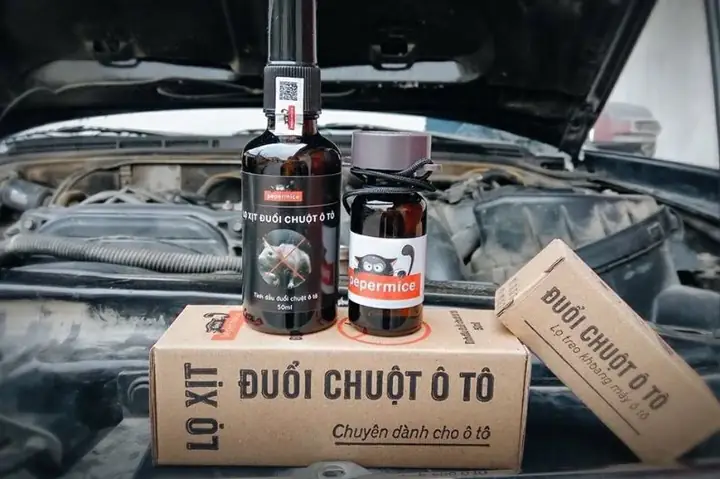 Dùng Tinh Dầu Đuổi Chuột Ô Tô