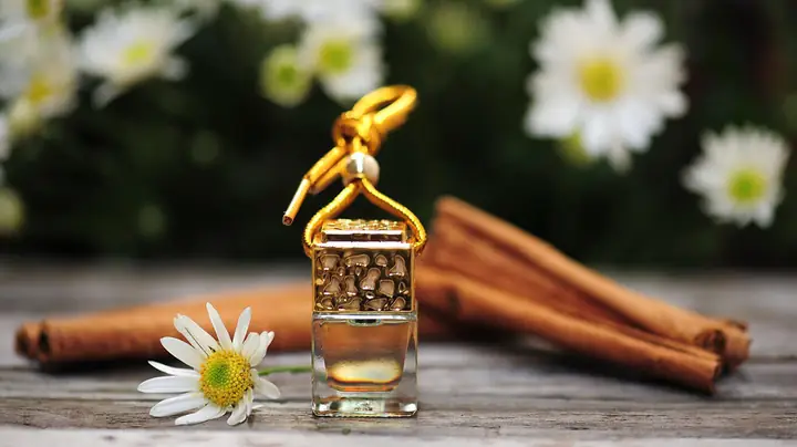 Nên Chọn Tinh Dầu Hay Nước Hoa Treo Xe Ô Tô?