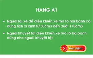 Dạy Lái Xe Ô Tô Cho Người Khuyết Tật: Điều Kiện & Quy Trình