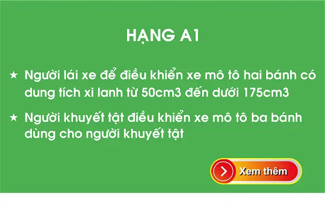 Dạy Lái Xe Ô Tô Cho Người Khuyết Tật: Điều Kiện & Quy Trình