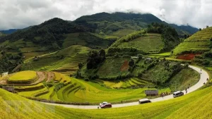 Dđàu Đĩa Xe Ô Tô Hiệu Kioko