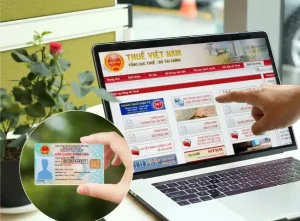 Quy Trình Khai, Nộp Lệ Phí Trước Bạ Điện Tử Đối Với Ô Tô, Xe Máy Mới- Ảnh 1.