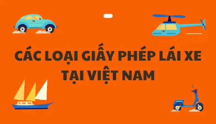 Cã¡c Loáº¡i Giáº¥y Phã©p Lã¡i Xe Táº¡i Viá»t Nam
