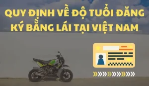 Quy Äá»nh Vá» Äá» Tuá»i Ääng Kã½ Dá»± Thi Giáº¥y Phã©p Lã¡i Xe Táº¡i Viá»t Nam