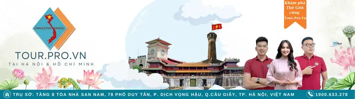 Di Ch Vu Xe Ô Tô Cươ Ng Nga