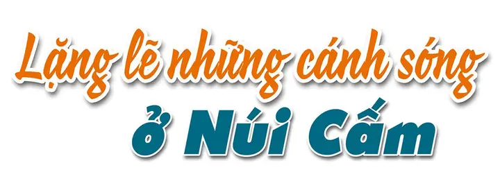 Đi Xe Ô Tô Lên Núi Cấm Có Khó Không