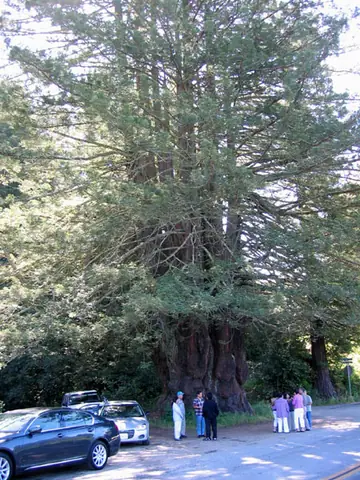 Top Diễn Đàn Ô Tô Xe Hơi Bốn Bánh Uy Tín Nhất Việt Nam