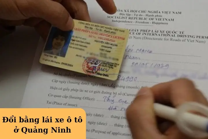 Đổi Bằng Lái Xe Ô Tô Ở Quảng Ninh