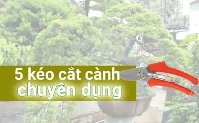 Dụng Cụ Sửa Chữa Ô Tô Và Xe Máy