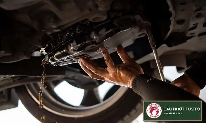 Dầu Cầu Ô Tô: Hướng Dẫn Chọn Mua & Thời Điểm Thay Thế