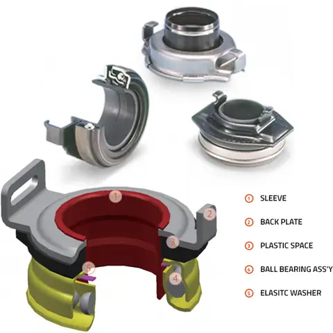 Cấu Tạo Của Bi Tê