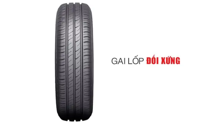 1. Loại Gai Vỏ Đối Xứng 1. Loại Gai Vỏ Đối Xứng