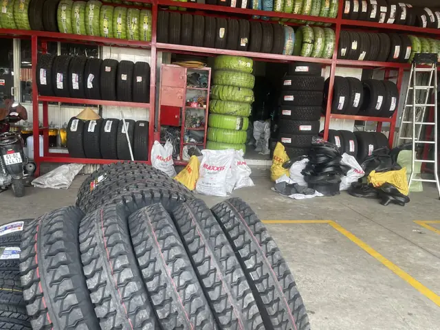 Thông Số Kỹ Thuật Của Lốp Xe Casumina 5.50-13 14pr