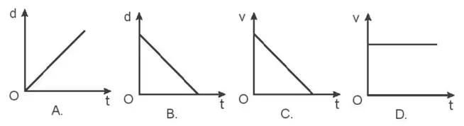 Gia Tốc Và Xe Ô Tô