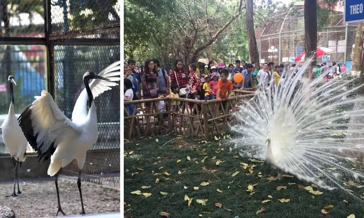 Giới Thiệu Về Công Viên Thủ Lệ