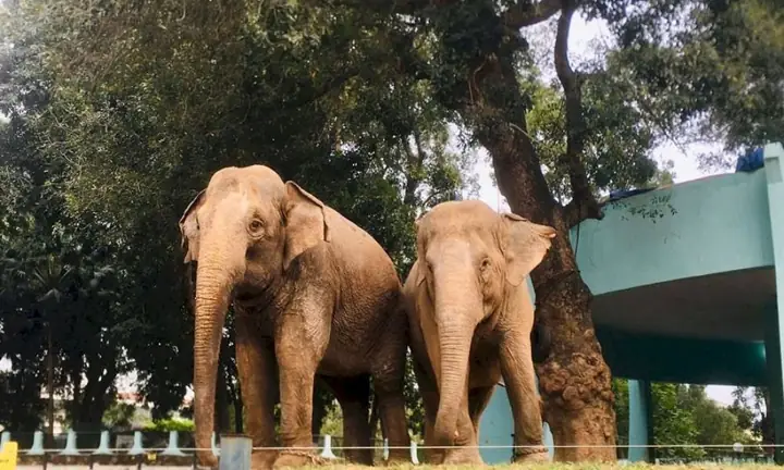 Giới Thiệu Về Công Viên Thủ Lệ