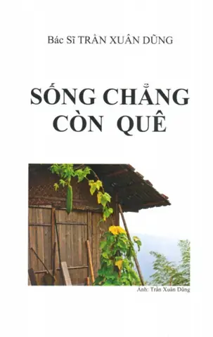 Cập Nhật Giá Xe Ô Tô 7 Chỗ Hôm Nay Chính Xác Nhất?
