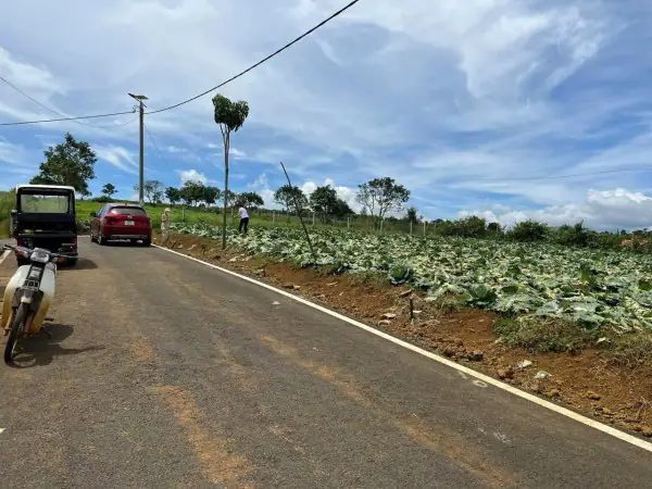 Cập Nhật Giá Xe Ô Tô 7 Chỗ Hôm Nay Chính Xác Nhất?